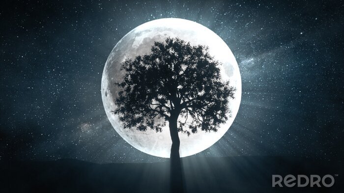 Fotobehang Een eenzame boom op de achtergrond van de volle maan