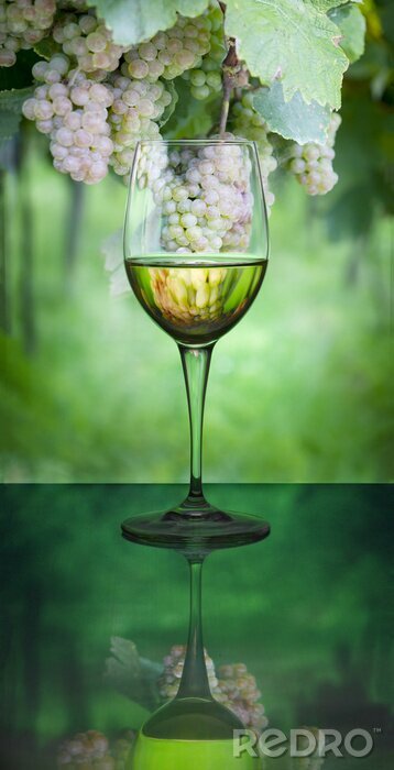 Fotobehang Een glas witte wijn op een achtergrond van fruit