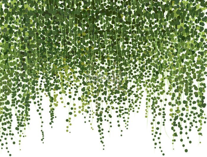 Fotobehang Een gordijn van kleine groene bladeren