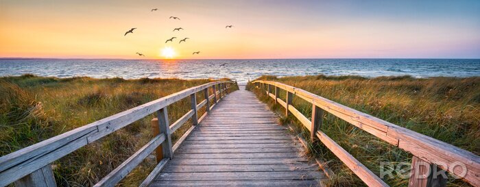 Fotobehang Een houten brug en vogels tegen de achtergrond van een zonsondergang boven de zee