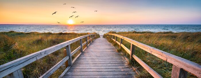 Fotobehang Een houten brug en vogels tegen de achtergrond van een zonsondergang boven de zee
