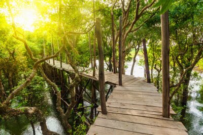 Fotobehang Een houten brug in een dicht oerwoud