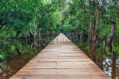 Fotobehang Een houten brug over een moeras