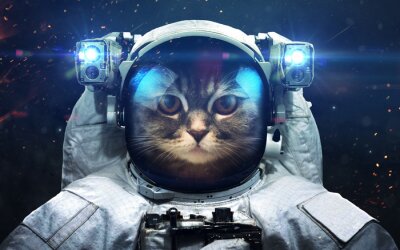 Een kattenastronaut in de ruimte