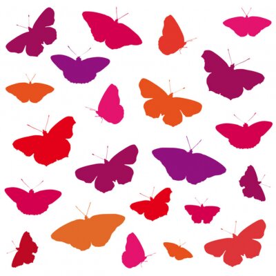 Fotobehang Een kleurrijk patroon met vlinders