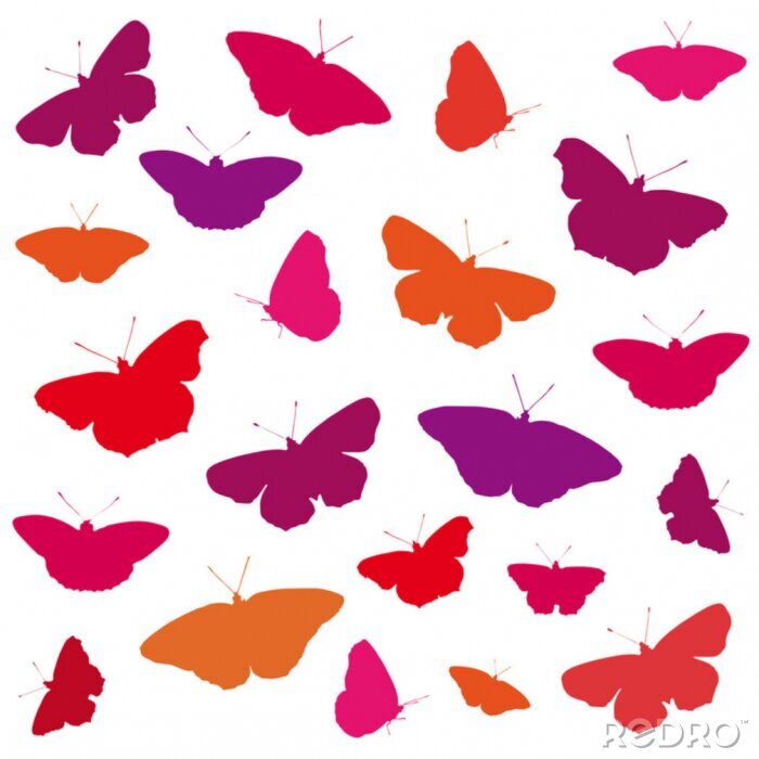 Fotobehang Een kleurrijk patroon met vlinders