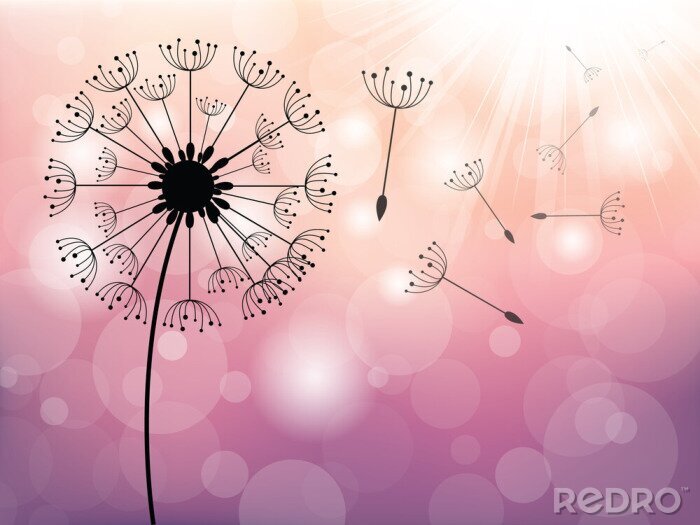 Fotobehang Een minimalistische paardenbloem op een roze achtergrond