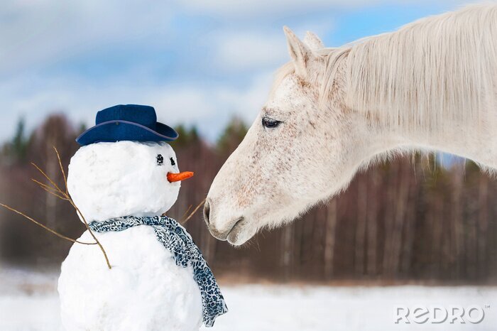 Fotobehang Een paard met een sneeuwpop in de winter