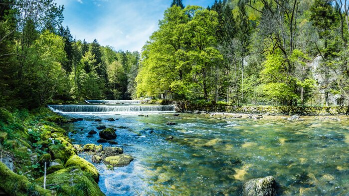 Fotobehang Een schilderachtige rivier in het bos