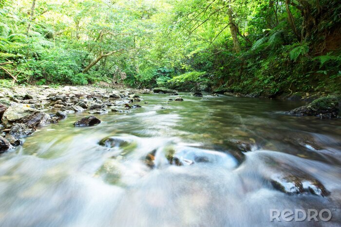 Fotobehang Een stromende rivier in het bos