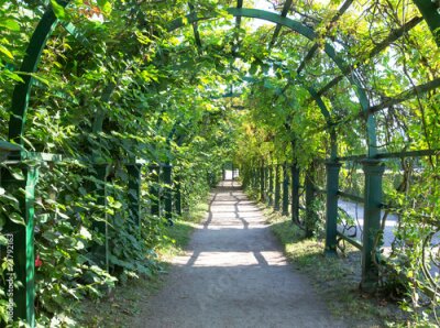 Fotobehang Een tunnel begroeid met vegetatie