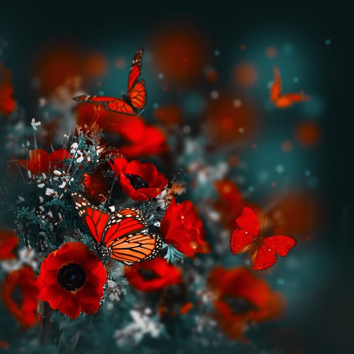 Fotobehang Een veld met klaprozen, groen gras en een vlinder