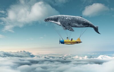 Een vliegtuig opgehangen aan een walvis