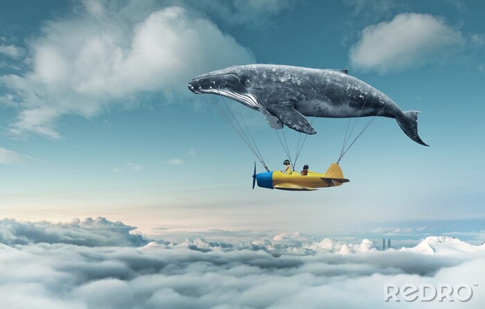 Fotobehang Een vliegtuig opgehangen aan een walvis