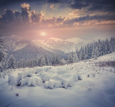 Fotobehang Een winters berglandschap