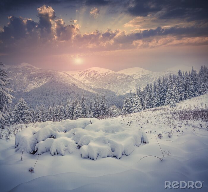 Fotobehang Een winters berglandschap