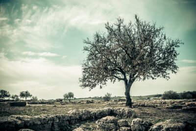 Eenzame boom in vintage stijl