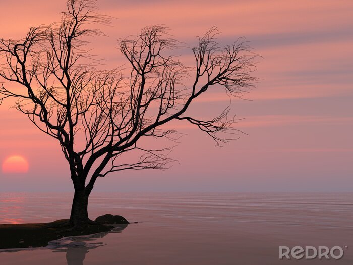Fotobehang Eenzame boom op de achtergrond van het meer
