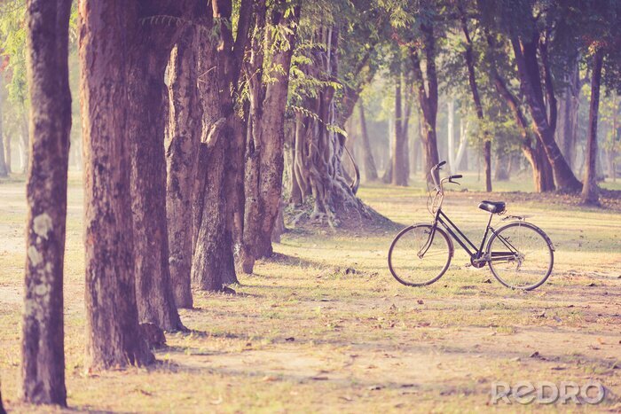 Fotobehang Eenzame vintage fiets in het park