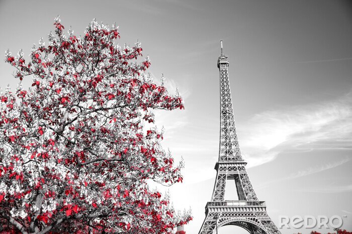 Fotobehang Eiffeltoren en een bloeiende boom
