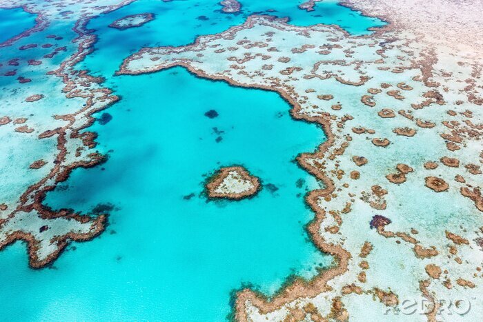 Fotobehang Exotisch koraalrif