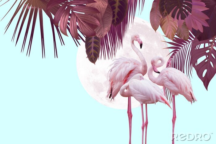 Fotobehang Exotisch motief van flamingo