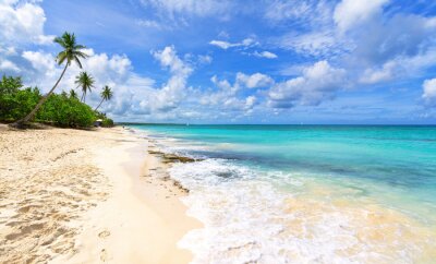 Exotisch strand in de Dominicaanse Republiek