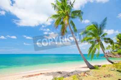 Fotobehang Exotisch strand met kokospalmen