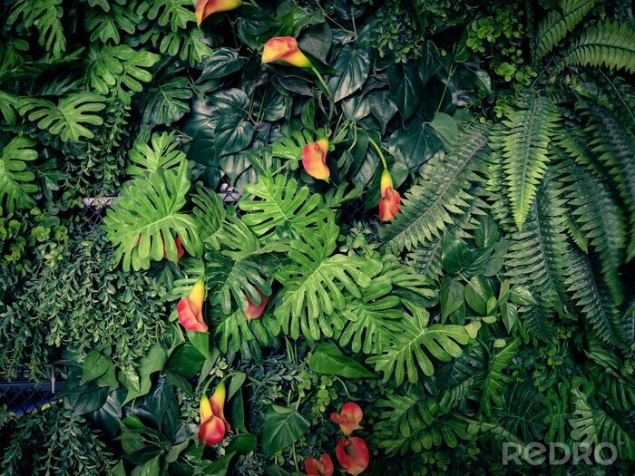Fotobehang Exotische jungle bloemen