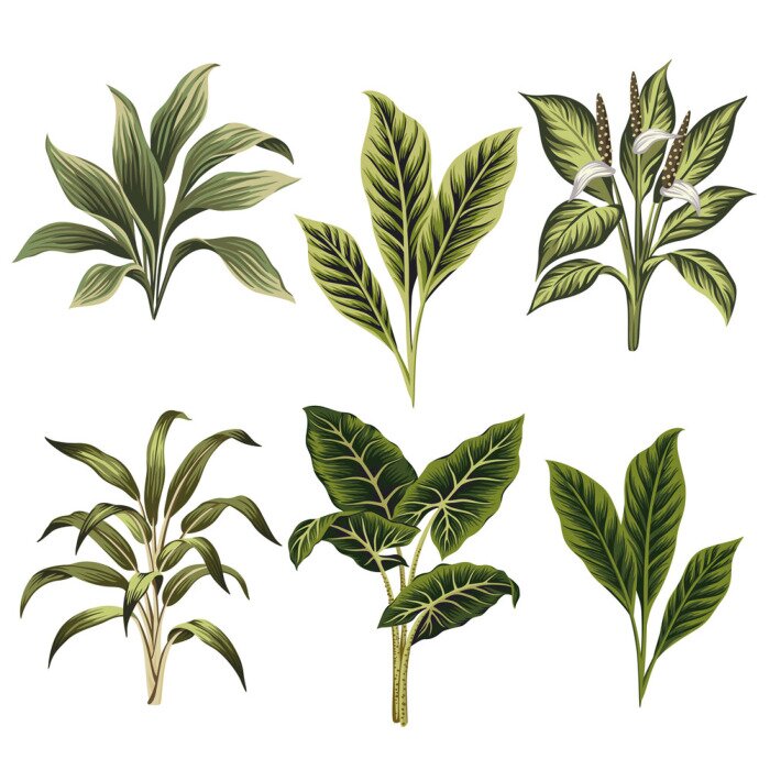 Fotobehang Exotische vintage planten