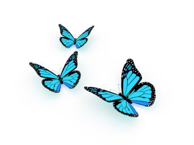 Fotobehang Exotische vlinders op een lichte achtergrond