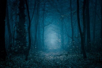Fotobehang Fantasie mistig blauw bos