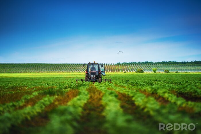 Fotobehang Farmer in tractor preparing land with cultivator in spring