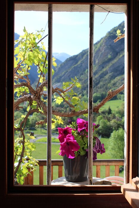 Fotobehang Fenetre Natuur