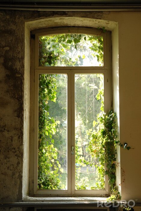 Fotobehang finestra