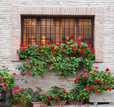 Fotobehang Finestra romantica con fiori
