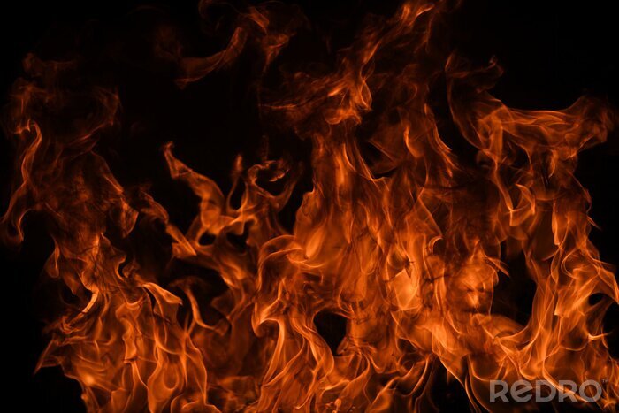 Fotobehang Flame fires. Burn lights on a black background. Fire flames on black background. Abstract fire flame background.