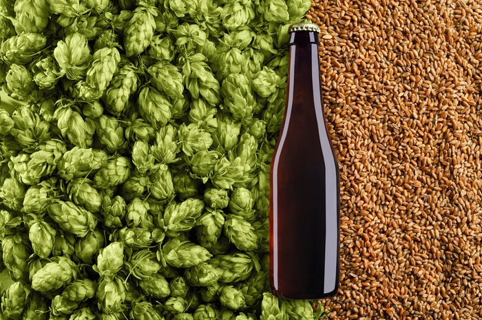 Fotobehang Flesje bier hop en tarwe