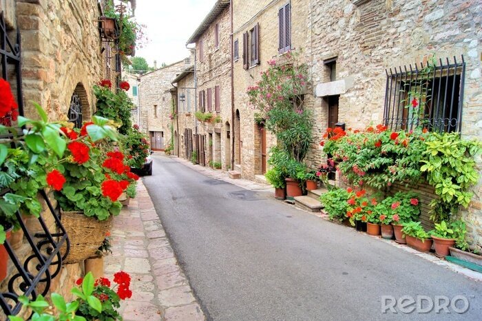 Fotobehang Flower lined medieval street in Assisi, Italy