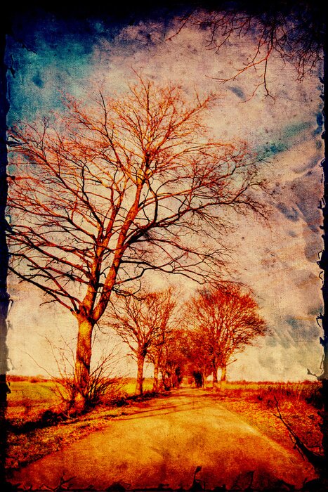 Fotobehang Fotografie van een weg in retro tinten