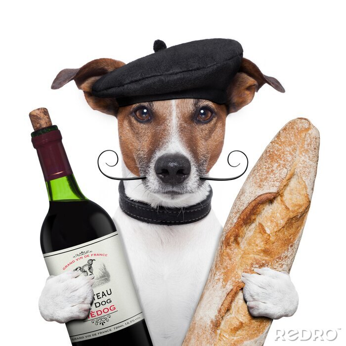 Fotobehang frans hond wijn stokbrood baret