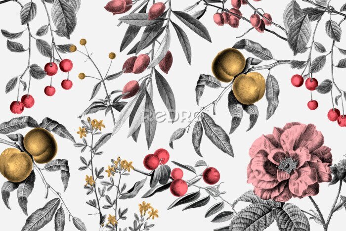 Fotobehang Fruit en planten in grijs en kleuren