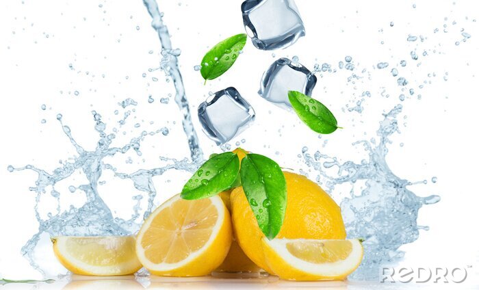 Fotobehang Fruit in water citroen met munt