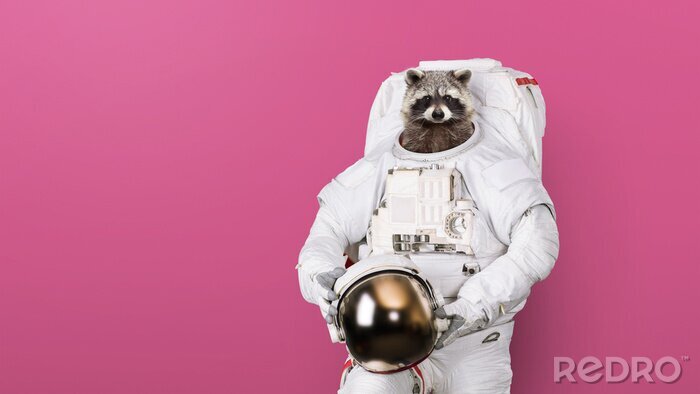 Fotobehang Funny raccoon astronaut in a space suit with a helmet on a pink background. Creative idea