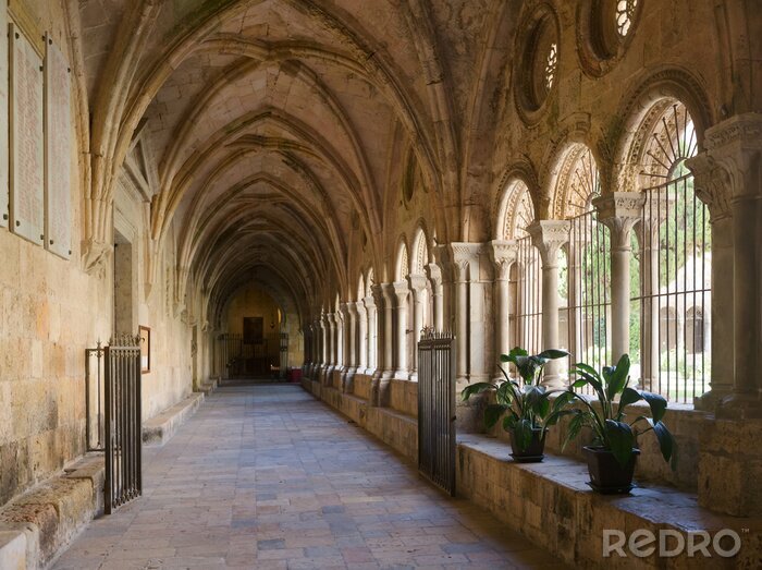 Fotobehang Galerij van Binnenplaats van de kathedraal van Tarragona