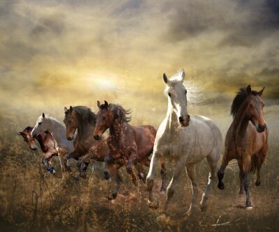 Fotobehang Galopperende paarden en ondergaande zon