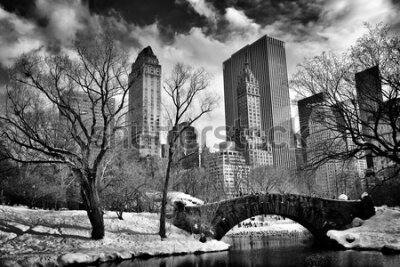 Fotobehang Gapstow Bridge in Central Park in de winter