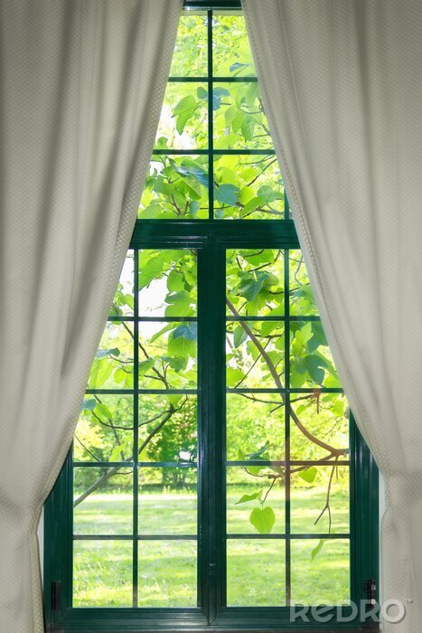 Fotobehang garden through the widow with curtains