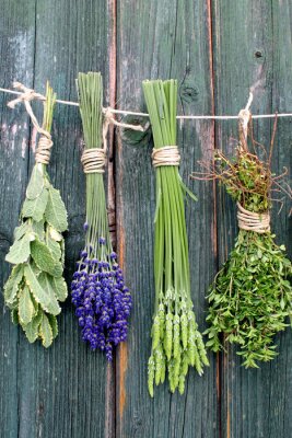 Poster Gedroogde kruidentakjes hangen aan een touwtje.