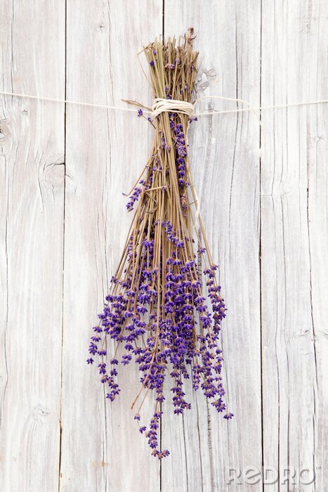 Fotobehang Gedroogde lavendel